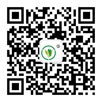 &#24320;&#20113;&#25163;&#26426;&#31449;&#20837;&#21475;&#45;&#24320;&#20113;&#40;&#20013;&#22269;&#41;